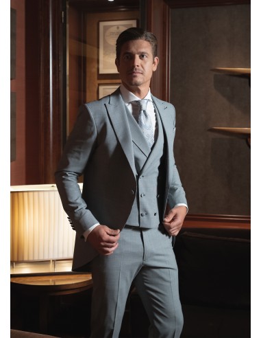 Chaqué color gris